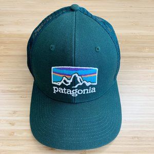 Patagonia Fitz Roy Horizons Trucker Hat, Northern Green
